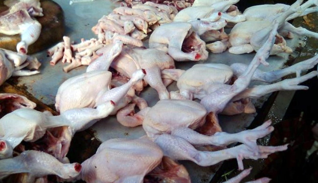 Sudin Peternakan dan Pertanian Jakarta Pusat, Sita 207 Ayam Potong Berformalin dari Pasar Palmerah