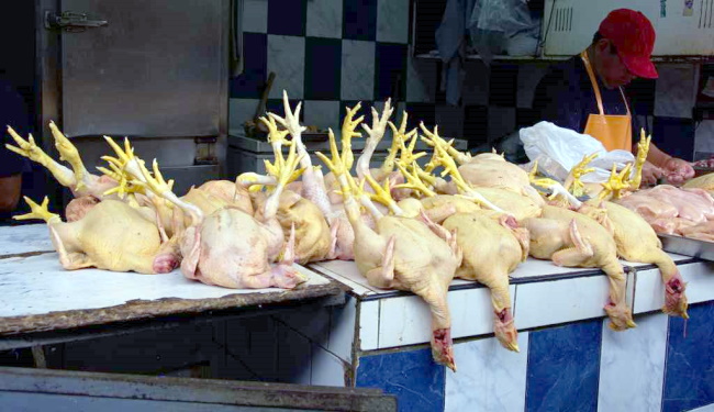 Operasi Ayam Berformalin Di Pasar Tradisional Oleh Sudin Pertanian dan Peternakan Jakarta Pusat