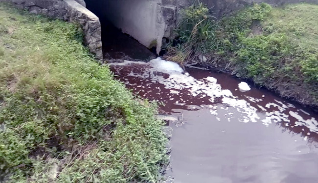 Pabrik Kelapa Sawit (PT.Sintong Abadi) Cemari Perkebunan PTPN-III Sei Dadap