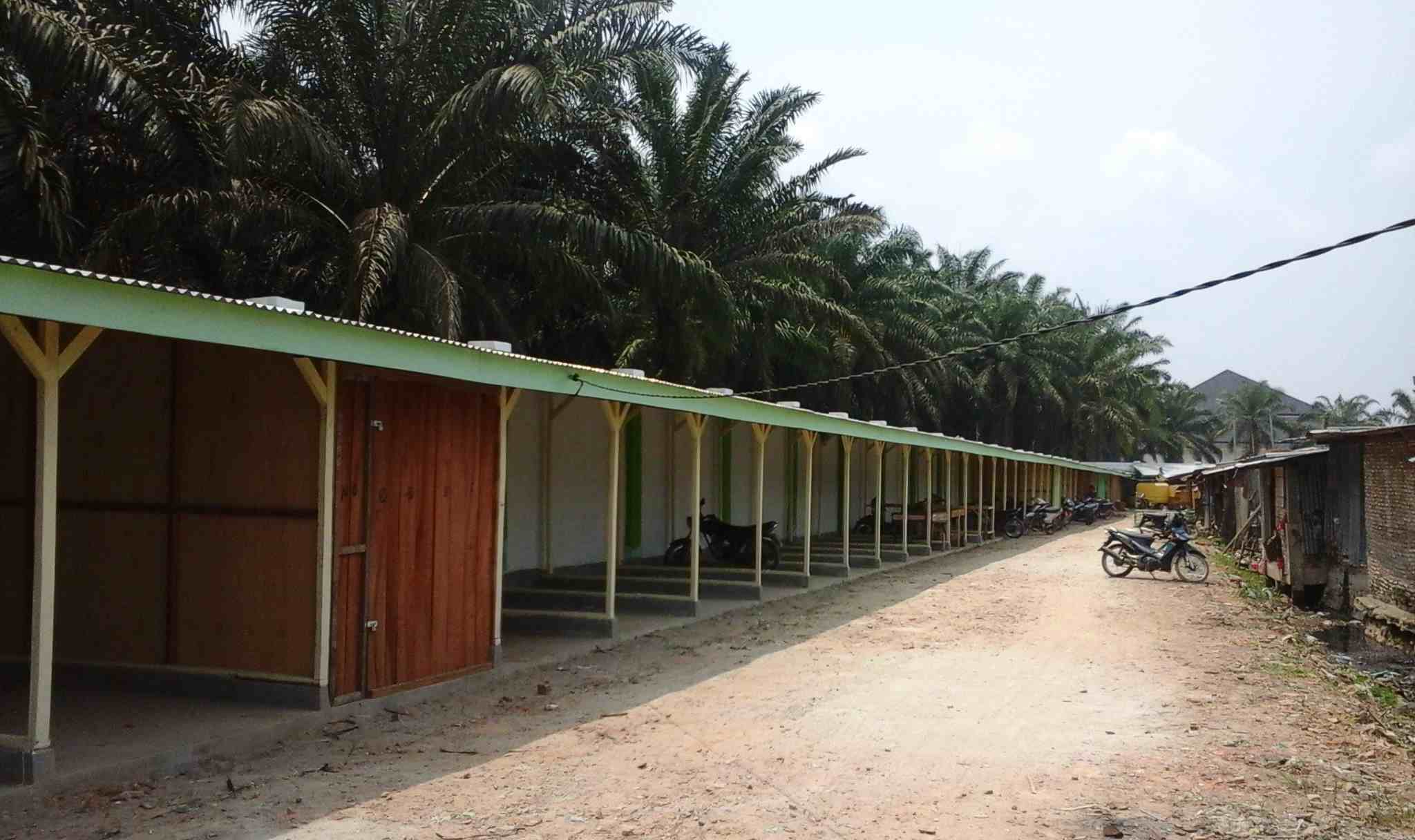 Ketua LSM Pipmi Sumut Kritik DPRD Labura Terkait Pernyataan Perintah Pembongkaran Los Dangau – Dangau
