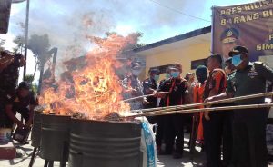 Polres Simalungun Musnahkan 155 Kg Ganja