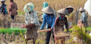 Anggota DPRD Jabar Tolak Pajak Sembako, Faizal Hafan Farid : Menambah Beban Petani dan Peternak