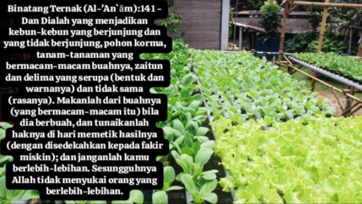 Menanam dan Merawat Bumi untuk Ketahanan Pangan: Jalan Menuju Kedaulatan dan Keberkahan Bangsa