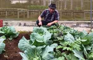 SUTA Nusantara Rangkul Tiga Perusahaan Pupuk Hayati Unggul Dan Membentuk Satuan Kerja untuk Dukung Kesejahteraan Petani