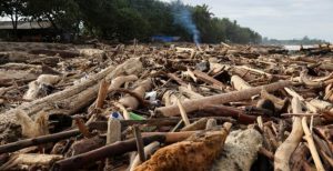 Putri Nabila Damayanti, SH Kritisi Bencana Banjir, Minta Men LH, Menhut dan TNI Polri Tanggung Jawab